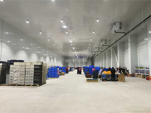 建设8000平米电商物流低温冷藏库费用造价是多少? 建设8000平米电商物流低温冷藏库费用造价是多少?