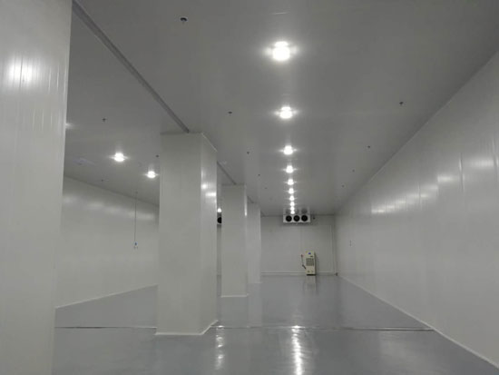 建设大型食品冷链物流冷藏库费用一般是多少? 建设大型食品冷链物流冷藏库费用一般是多少?