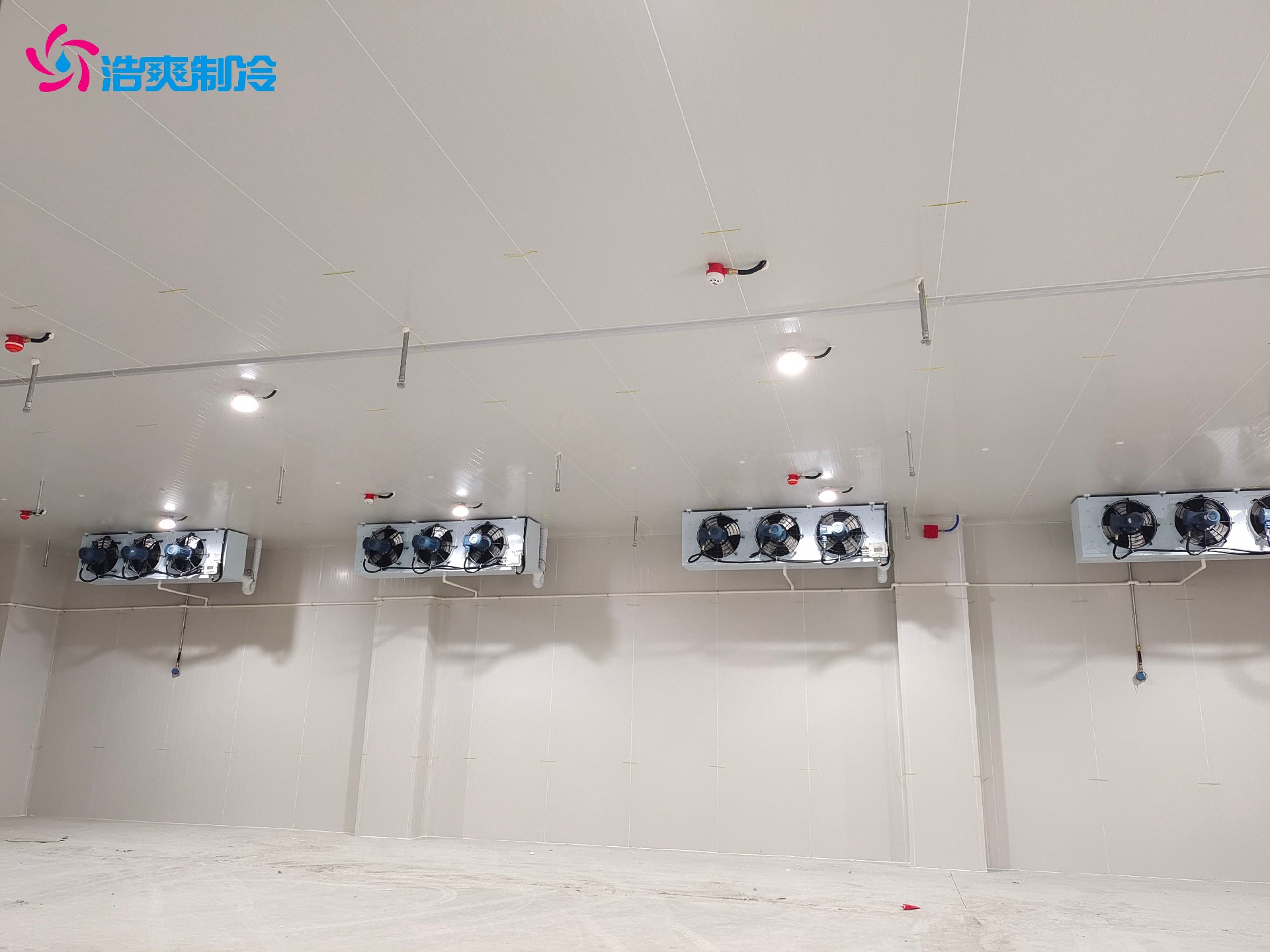 1675670942122841.jpg 1675670942122841.jpg