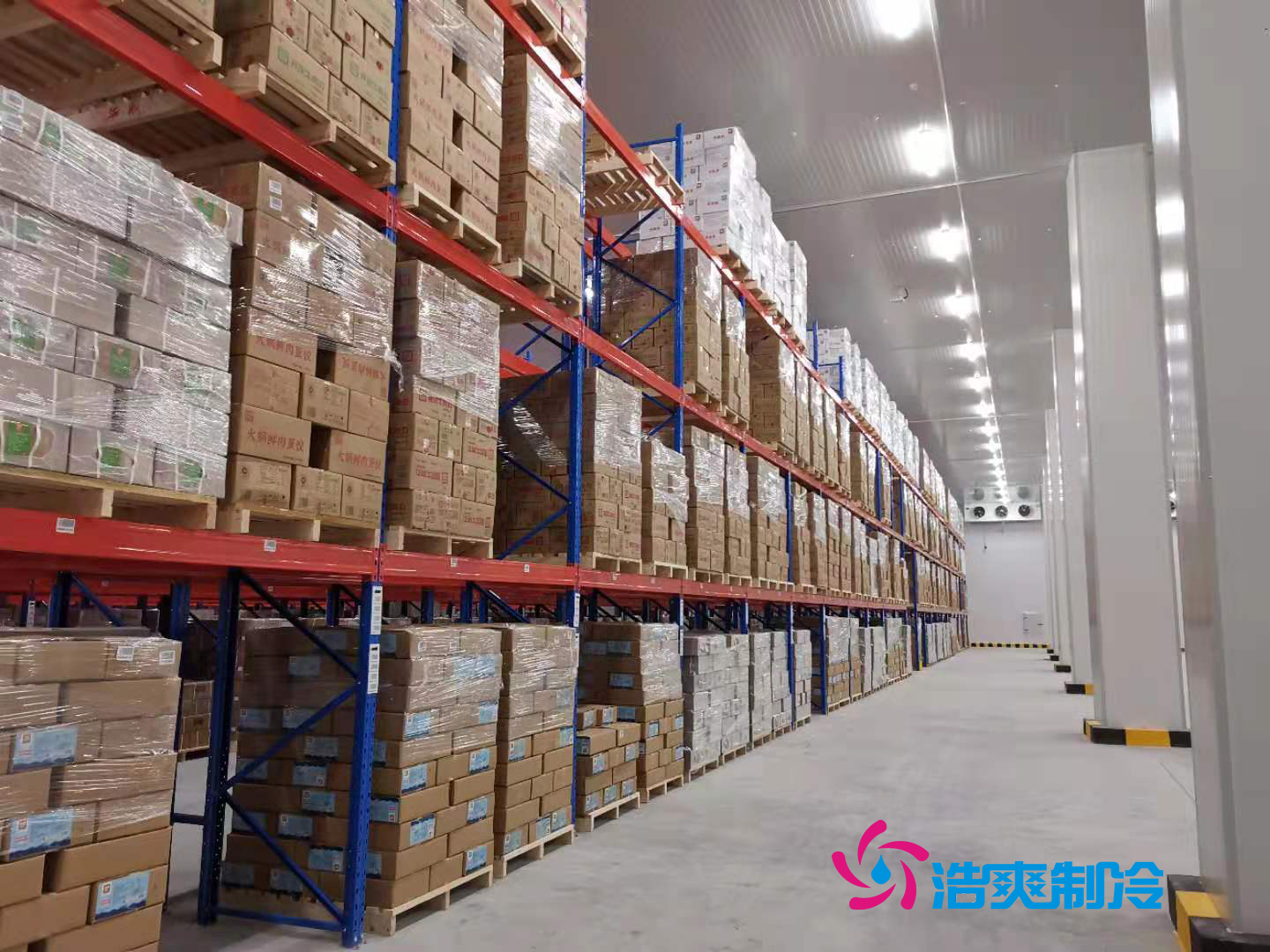 建造物流仓储自动化冷库 自动化立体冷库设备 