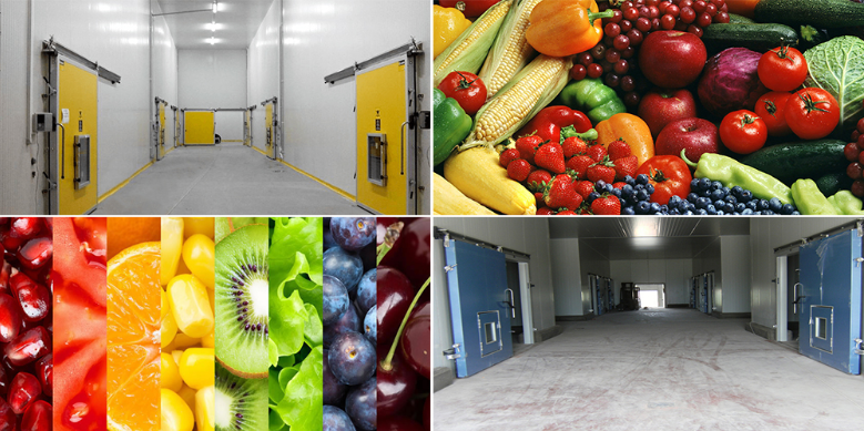保鲜冷库和气调冷库哪个储存水果效果较好？