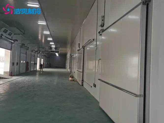 食品类低温冷冻库上门安装