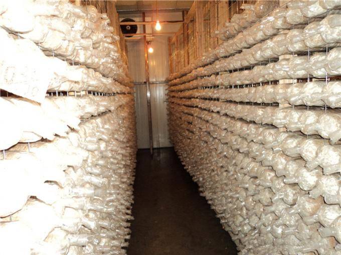 建一个100平方香菇冷库全套要多少钱? 建一个100平方香菇冷库全套要多少钱?