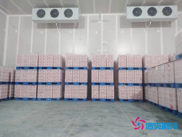 气调保鲜库完工内景