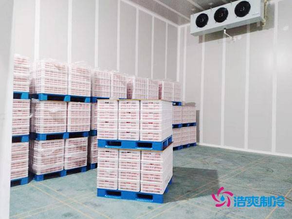 气调保鲜冷库内景图