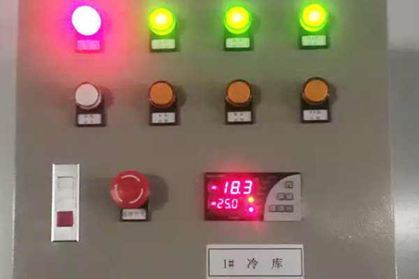 图为低温食材冷库温度控制器实拍