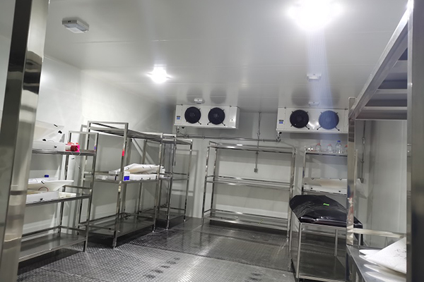 食堂双温冷库内部实拍