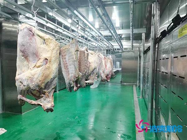 建造一个肉类排酸冷库安装造价成本大概多少钱？