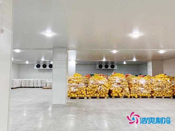 建造一个300平方米的冷冻库造价需要多少资金投入呢？