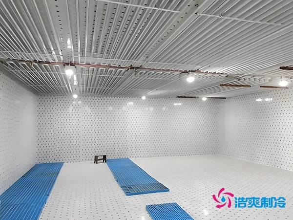 建设一个海鲜低温冷库造价多少钱一平方?
