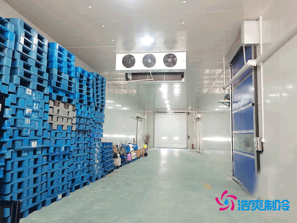 建造一个800平方米的食品冷库需要多少费用呢?