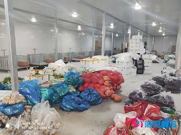 5000平方米果蔬保鲜冷库造价