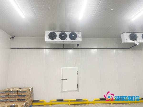 建造500平方米冷藏库的造价及相关因素分析