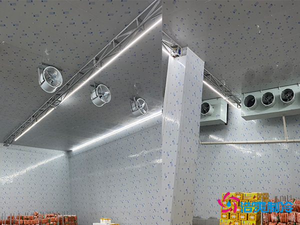 2000平冷库造价揭秘:这些因素让你多花几十万!