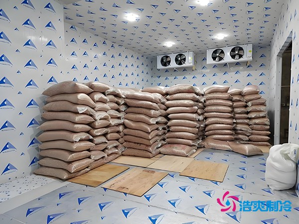 2万起建种子冷库?这些因素让造价翻倍!