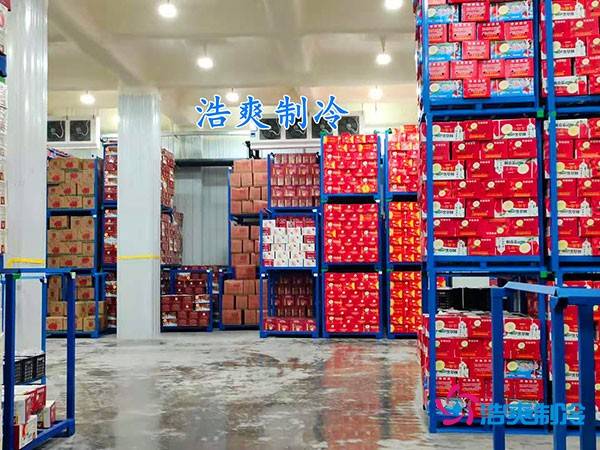 500平果蔬冷库造价曝光！35万起建，省钱秘诀在这里！