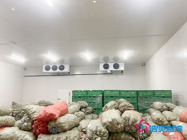 500平果蔬冷库造价曝光！35万起建，省钱秘诀在这里！