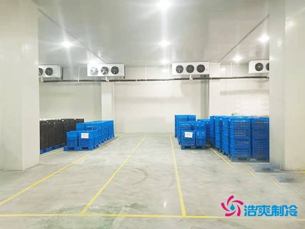 建造一个2000吨海鲜冷库的预算分析