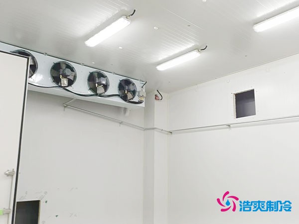 上海小型冷库造价揭秘!2万起真的靠谱吗?