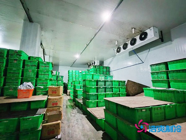 水果保鲜冷库建造价格每平米多少钱？
