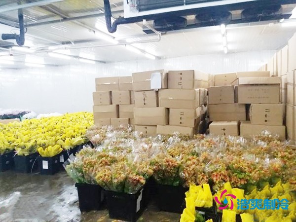 建造500㎡花卉鲜花冷库工程造价预算解析