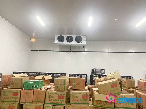 果蔬保鲜冷库的建造费用