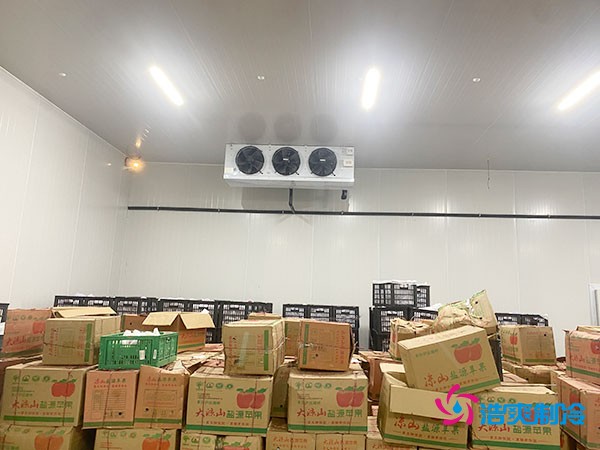 水果冷库造价多少一立方