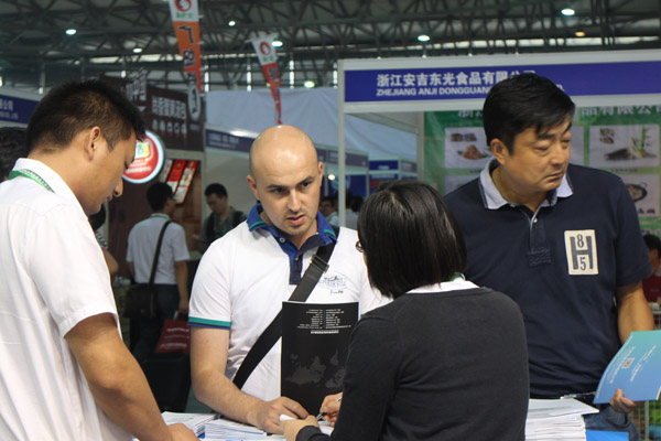 六玄网132432制冷18