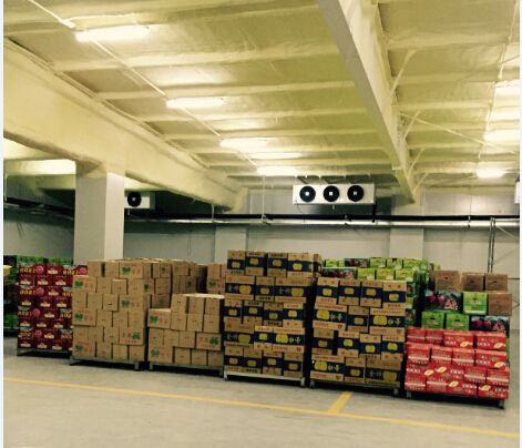 400吨水果保鲜冷库