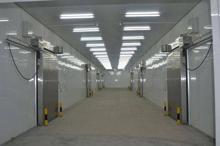 1000平方高4米冷库