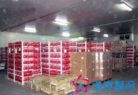 10万斤水果冷库