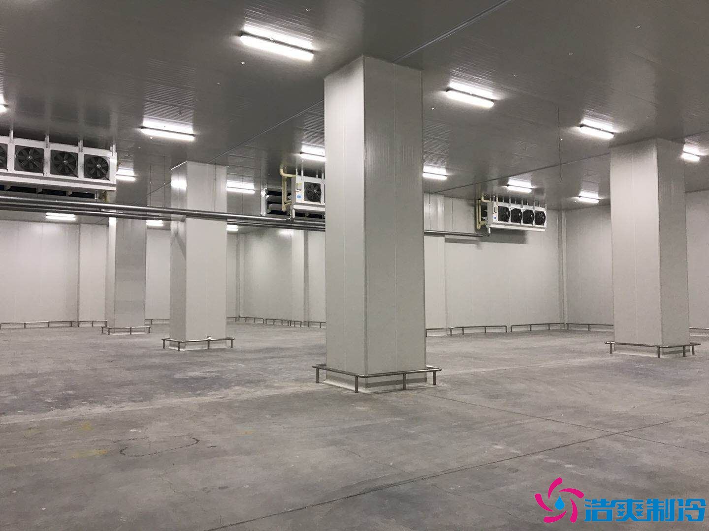 10000平米大型海鲜冷库(水产冷冻库)冷库建造方案