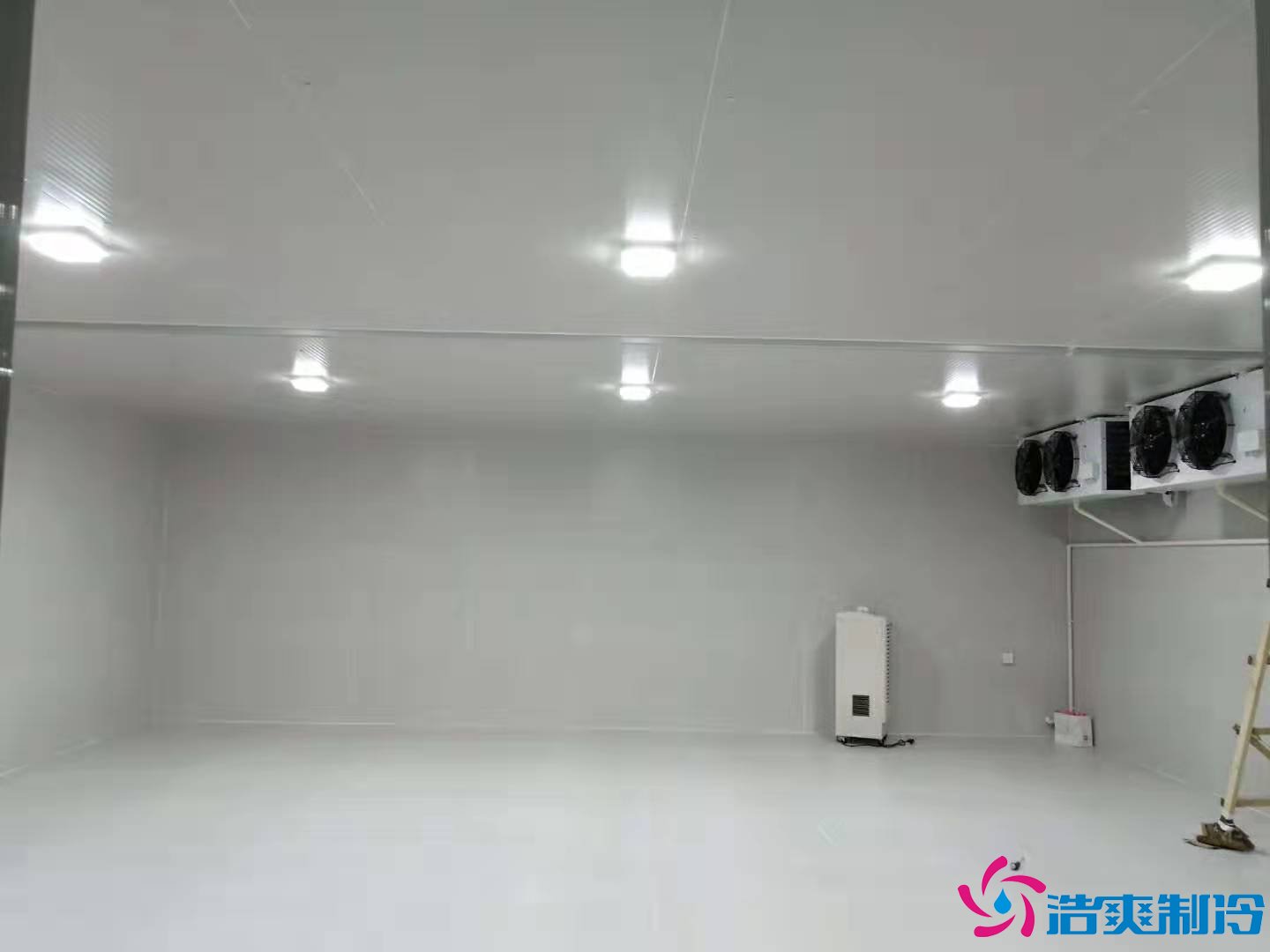 上海基因生物1000m3生物制品冷库(冷冻、冷藏)新建工程案例