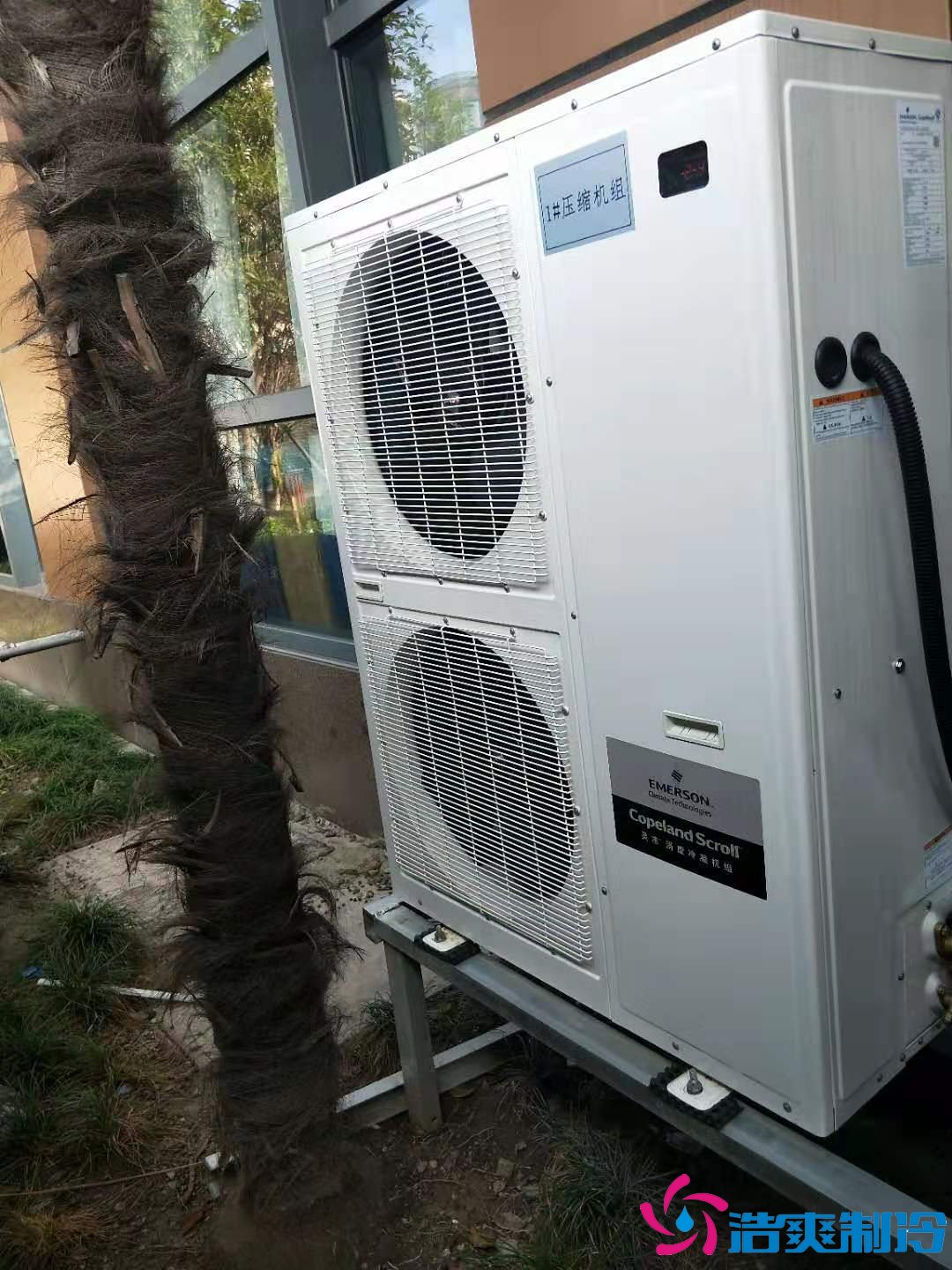 上海基因生物1000m3生物制品冷库(冷冻、冷藏)新建工程案例