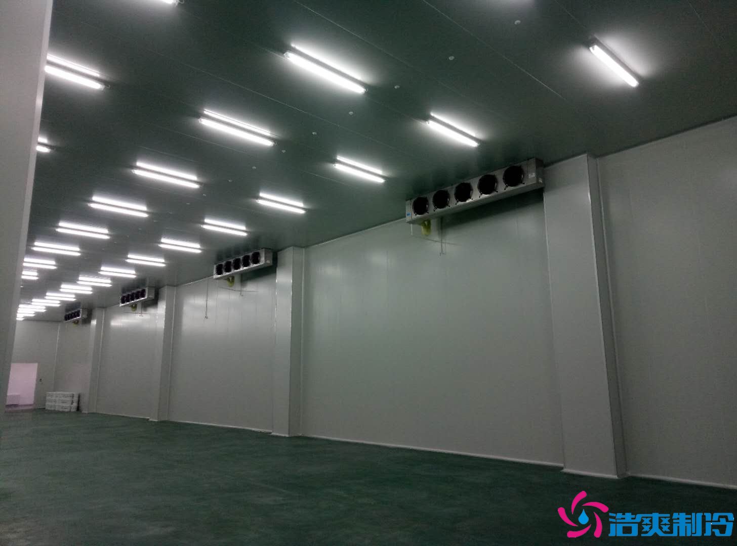 深圳金瑞凯利生物建造100㎡高标准医药冷库（冷冻冷藏库）工程案例