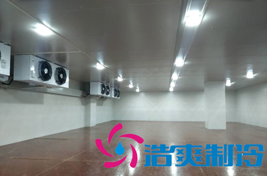 上海统一建造544m3饮料食品原材料冷冻冷藏库新工程案例