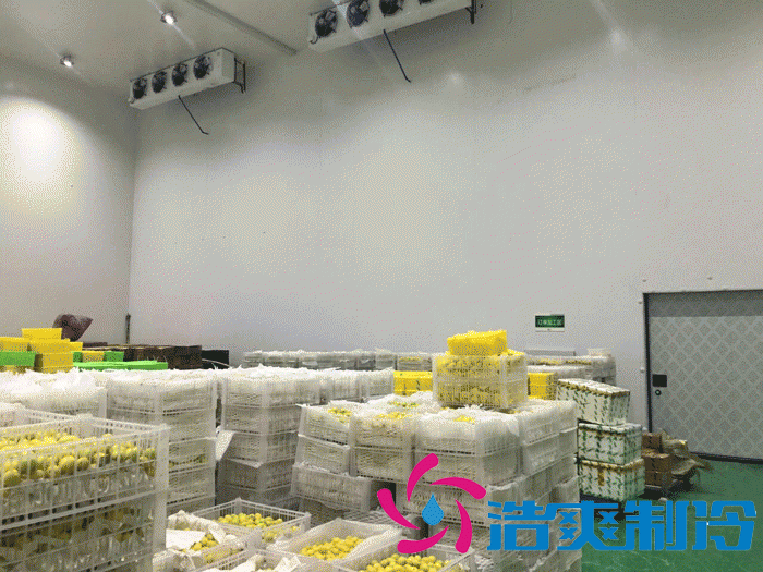 一万平果蔬农产品物流冷库