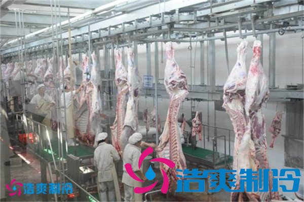 1000平米屠宰场冷库(猪肉冷冻库)