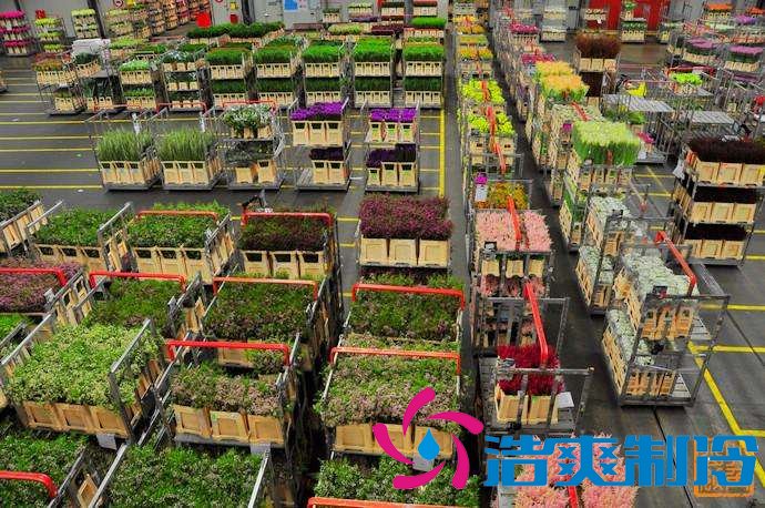 上海1000㎡花卉恒温库安装设备需要多少钱