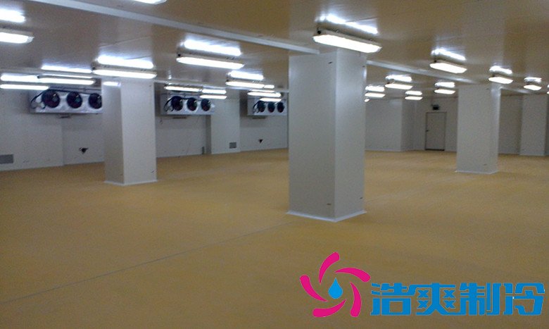 10000㎡冷链物流式冷藏库建造技术及设备安装成本多少钱