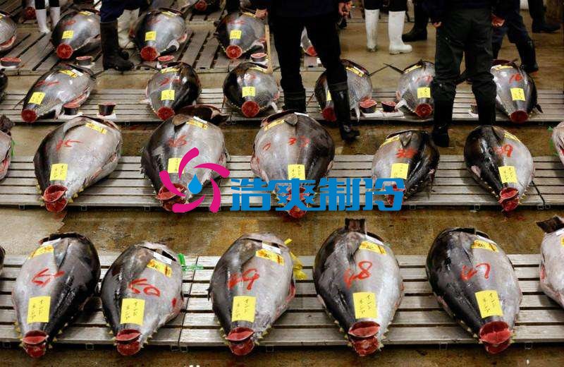 六玄网132432制冷，金枪鱼冷库，超低温冷冻库