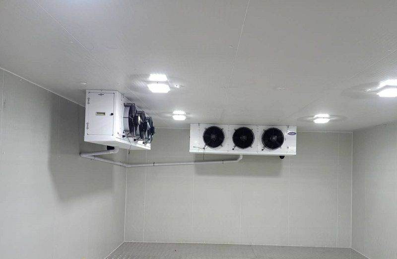 六玄网132432制冷,板栗保鲜冷库